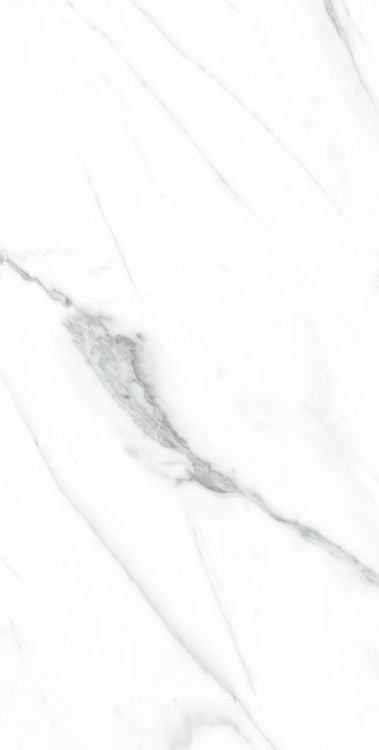 ELY AGL Carrara Matte 12 x 24 please call for special pricing