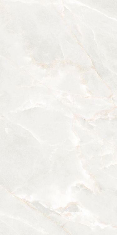 ELY Brasilia White Polished 12'' x 24''