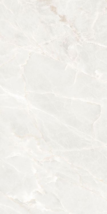 ELY Brasilia White Polished 24'' x 48''