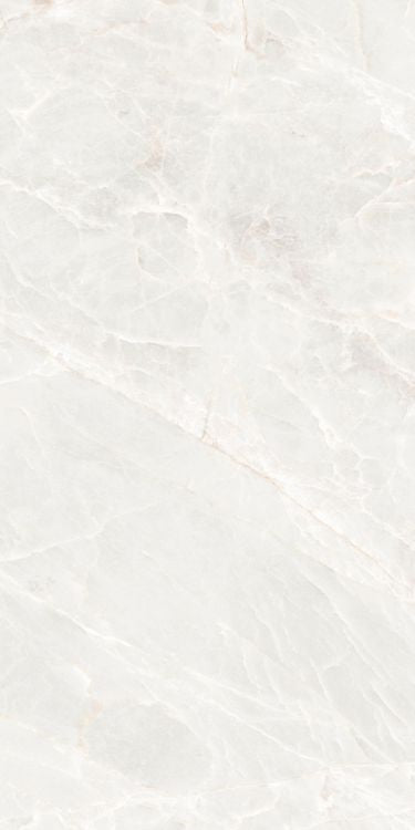 ELY Brasilia White Polished 24'' x 48''