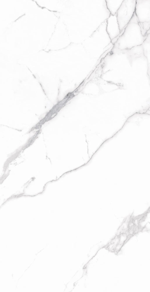 ELY Carrara Premium Polished 12x24 (please call for special pricing ...